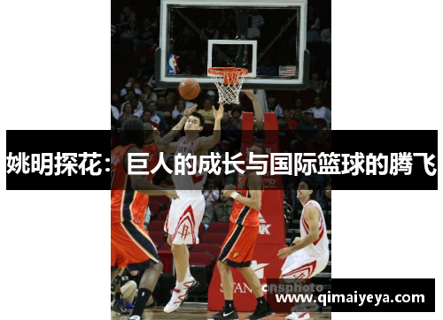 姚明探花：巨人的成长与国际篮球的腾飞
