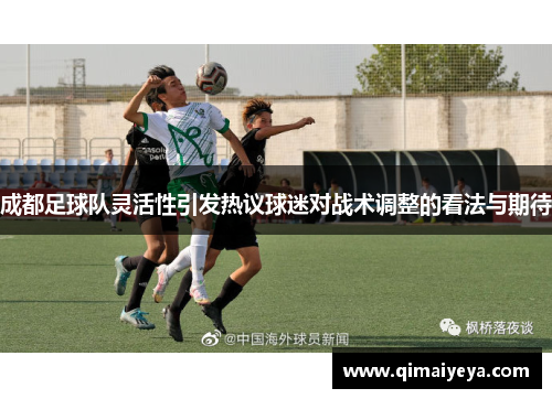成都足球队灵活性引发热议球迷对战术调整的看法与期待