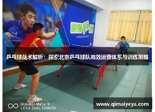 乒乓球战术解析：探索北京乒乓球队高效运营体系与训练策略