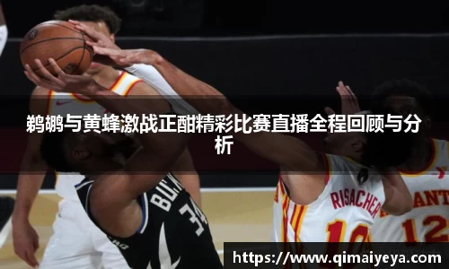 悟空体育鹈鹕与黄蜂激战正酣精彩比赛直播全程回顾与分析